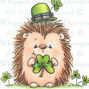 Meet your Posher, Heidi